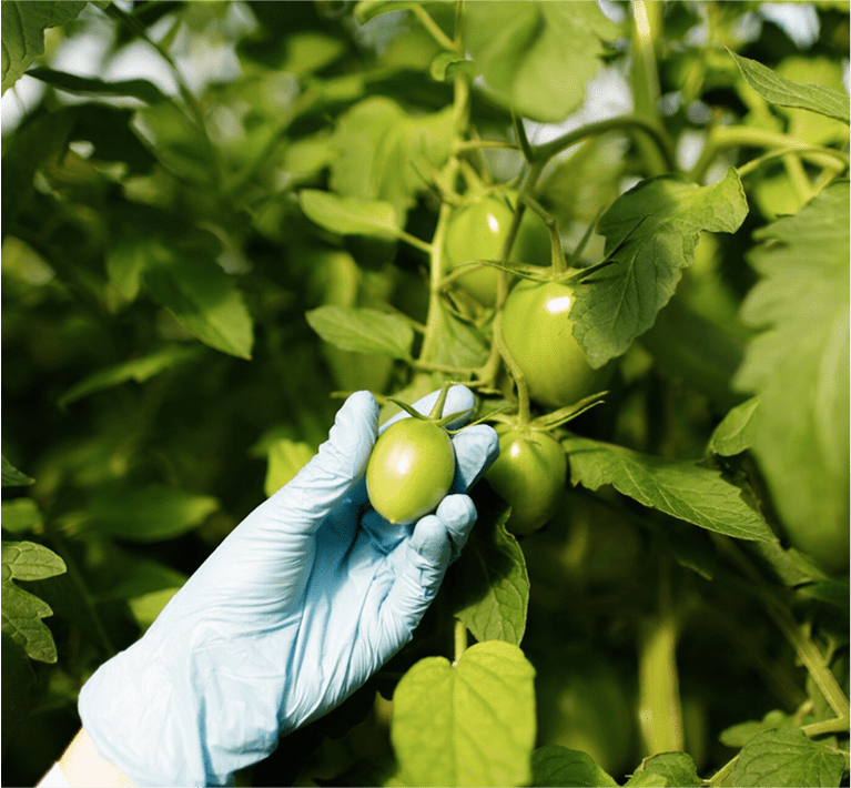 Biodiversidad 2030 y Ley de Zonas Vulnerables a Nitratos