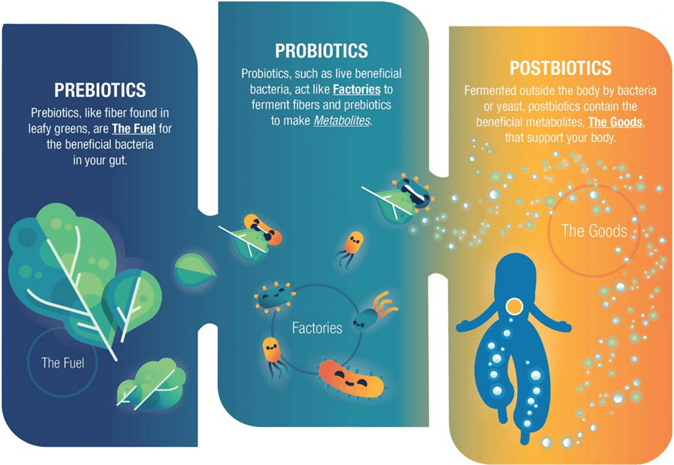 agro-postbióticos
